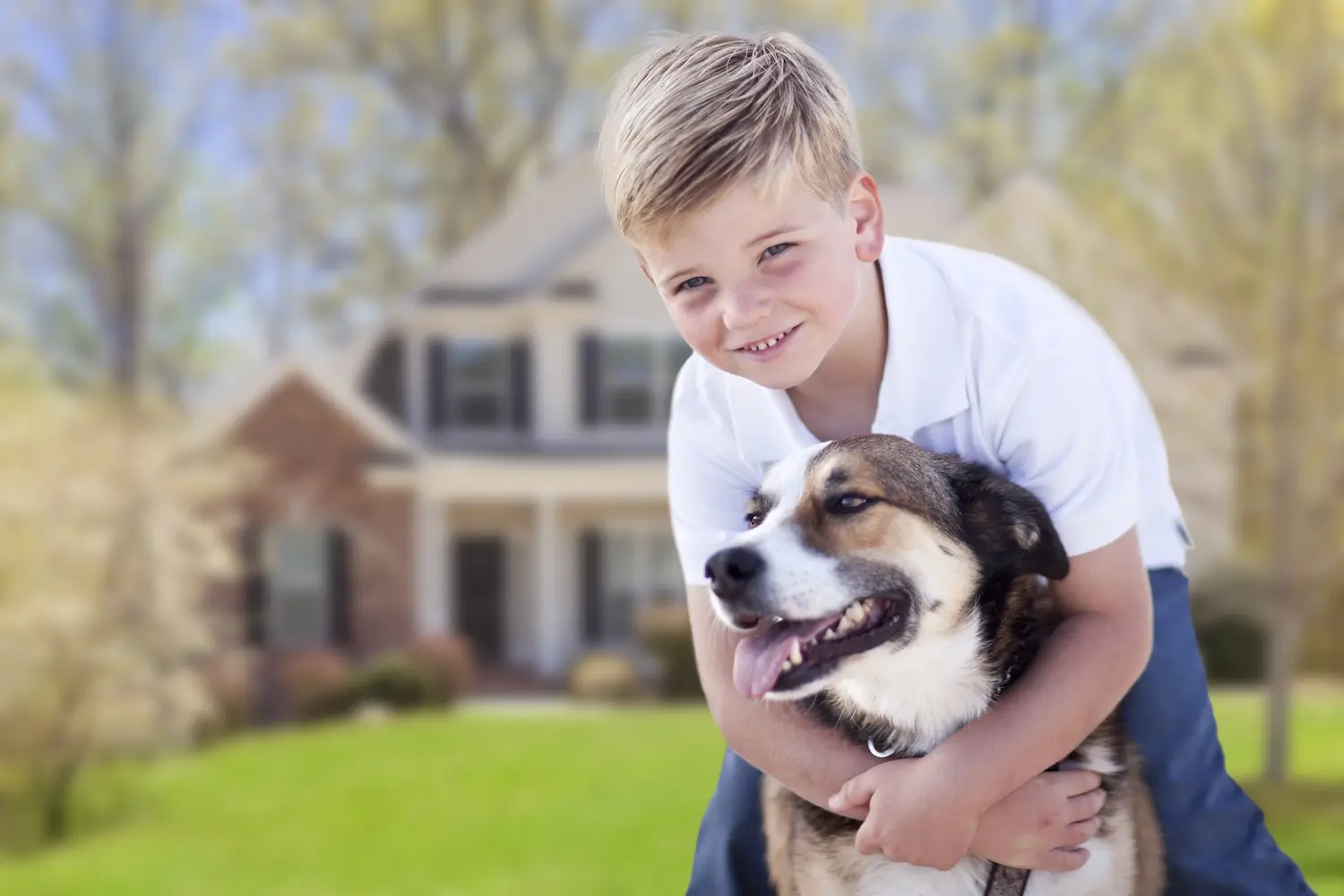 Orange County Pet Screening